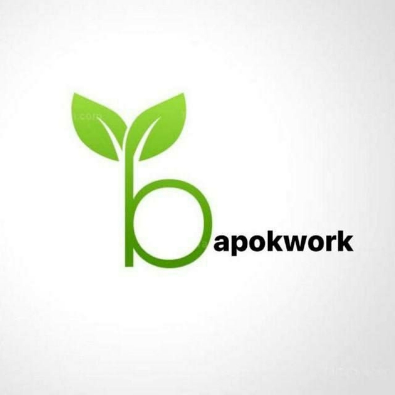 استخدام ادمین برای شرکت باپوک به تعداد محدود