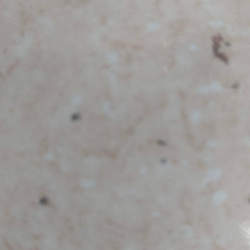 مدلینگ خانم از تمام شهرها کار درمنزل عکاسی بدون چهره