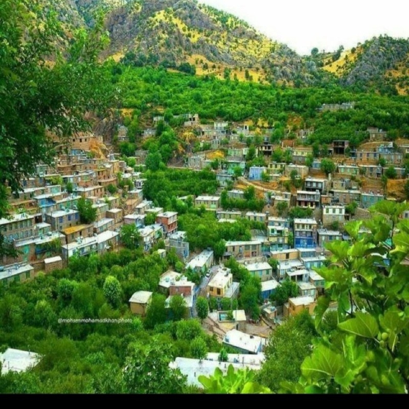 سوئیت اجاره واقع در روستای گردشگری ژیوار