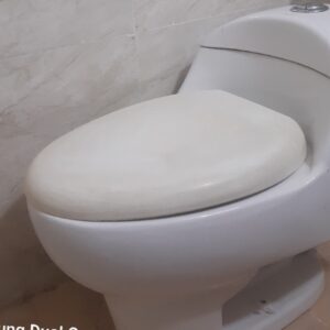 توالت فرنگی