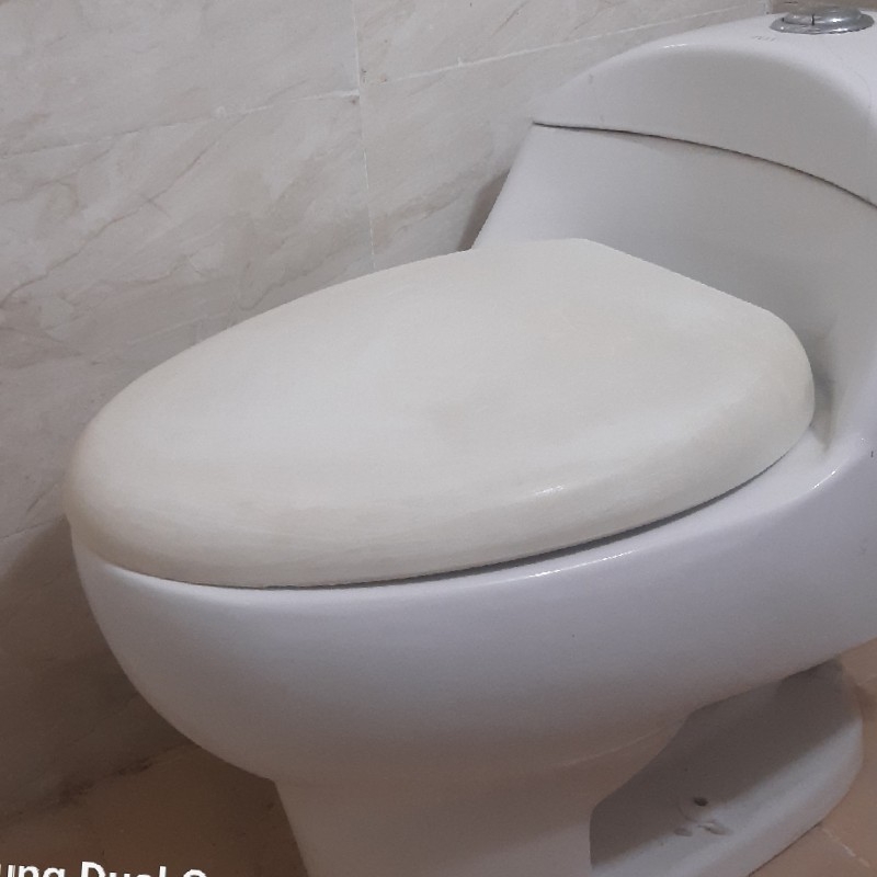 توالت فرنگی