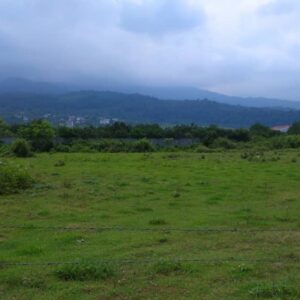 زمین 251متری