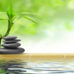 خدمات ماساژ آقایان توسط ماسور
