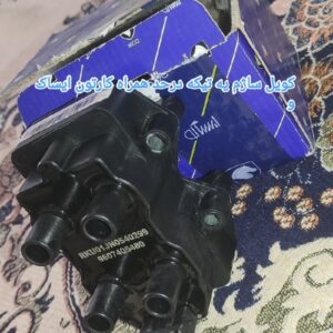 ایسیو S2000 سیم کشی موتور سوزن انژکتور کویل..